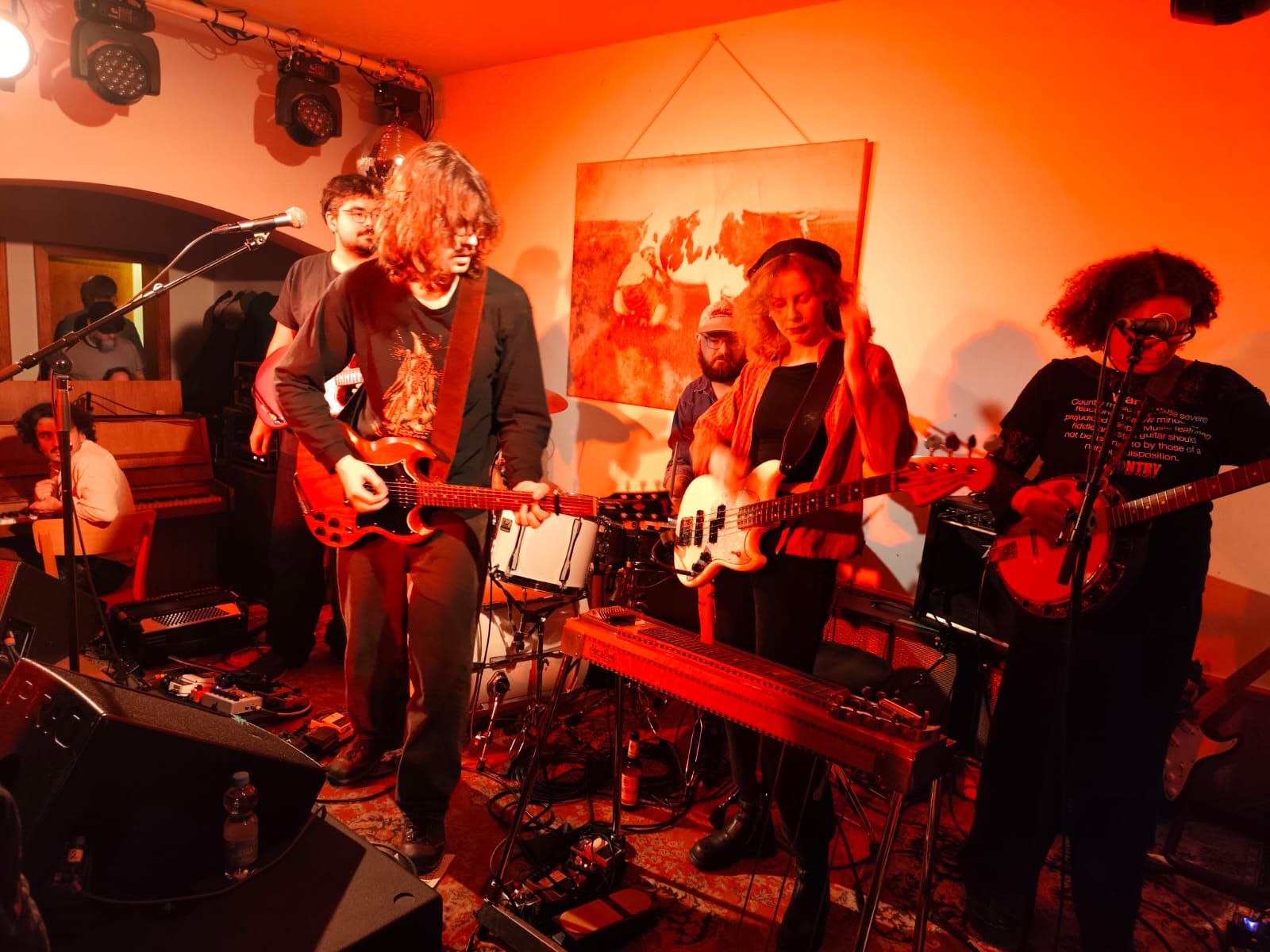 BrownHorse2025-10-31HaldernPopBarGermany (4).jpg